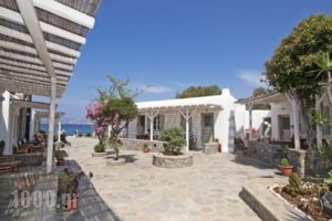 Agia Anna Studios_holidays_in_Hotel_Cyclades Islands_Mykonos_Mykonos Chora