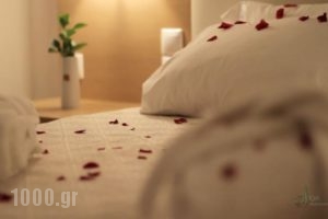 Aeolian Gaea Hotel_best prices_in_Hotel_Aegean Islands_Lesvos_Polihnitos