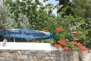 Ampeli Apartments_holidays_in_Apartment_Cyclades Islands_Paros_Paros Chora