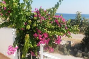 Iro Apartments_travel_packages_in_Aegean Islands_Chios_Chios Rest Areas