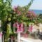 Iro Apartments_travel_packages_in_Aegean Islands_Chios_Chios Rest Areas