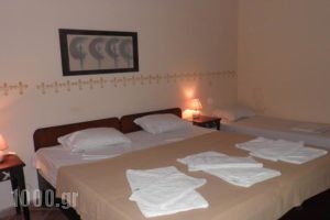 Ammon Garden Hotel_best deals_Hotel_Macedonia_Halkidiki_Haniotis - Chaniotis