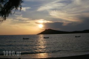 Sunset_holidays_in_Hotel_Dodekanessos Islands_Kos_Kos Rest Areas