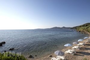 Aurora Hotel_holidays_in_Hotel_Ionian Islands_Corfu_Corfu Rest Areas
