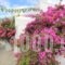Galini Oia_best deals_Hotel_Cyclades Islands_Sandorini_Sandorini Rest Areas