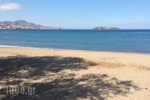 Natalia Studios_best deals_Hotel_Aegean Islands_Lesvos_Petra