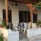 Natalia Studios_best prices_in_Hotel_Aegean Islands_Lesvos_Petra