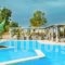 Oasis Hotel_best prices_in_Hotel_Crete_Heraklion_Heraklion City