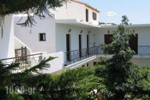 Manolas Studios_accommodation_in_Hotel_Sporades Islands_Skiathos_Skiathos Chora