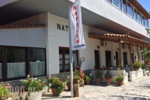 Natalia Studios_lowest prices_in_Hotel_Aegean Islands_Lesvos_Petra