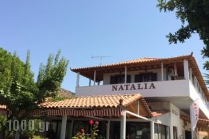 Natalia Studios_accommodation_in_Hotel_Aegean Islands_Lesvos_Petra
