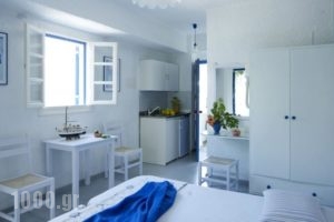 Ninetta'S Studios_lowest prices_in_Hotel_Piraeus Islands - Trizonia_Poros_Poros Rest Areas