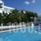 Ninetta'S Studios_best prices_in_Hotel_Piraeus Islands - Trizonia_Poros_Poros Rest Areas