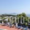 Atrium of Alonissos_accommodation_in_Hotel_Sporades Islands_Skopelos_Skopelos Chora