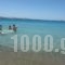 Krios Beach Camping_best deals_Hotel_Cyclades Islands_Paros_Paros Chora