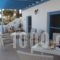 Villa Sophie_best deals_Villa_Cyclades Islands_Paros_Piso Livadi