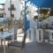 Villa Sophie_holidays_in_Villa_Cyclades Islands_Paros_Piso Livadi