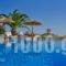Kavos Boutique Hotel Naxos_accommodation_in_Hotel_Cyclades Islands_Naxos_Naxos Chora