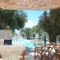 Diamantis Studios&Apartments_holidays_in_Apartment_Cyclades Islands_Naxos_Mikri Vigla