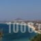 Villa Mousa_lowest prices_in_Villa_Cyclades Islands_Naxos_Mikri Vigla