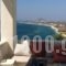 Villa Mousa_accommodation_in_Villa_Cyclades Islands_Naxos_Mikri Vigla