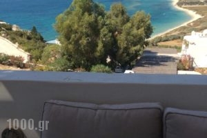 Villa Mousa_best prices_in_Villa_Cyclades Islands_Naxos_Mikri Vigla