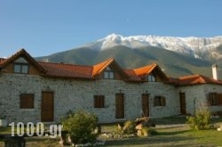 Elounda Olive Garden Apts & Studios in Amfiklia, Fthiotida, Central Greece