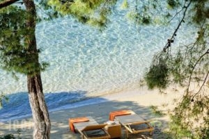 Xenia Poros Image Hotel_holidays_in_Hotel_Piraeus Islands - Trizonia_Trizonia_Trizonia Chora