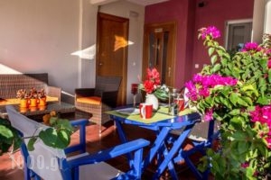 Polymnia Studios_best prices_in_Hotel_Macedonia_Pieria_Olympiaki Akti