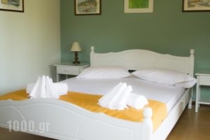 Yorgos Studios_best prices_in_Hotel_Ionian Islands_Paxi_Paxi Rest Areas