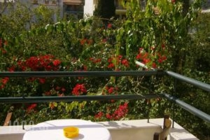 Pansion Chrisa_best deals_Hotel_Sporades Islands_Skiathos_Skiathoshora