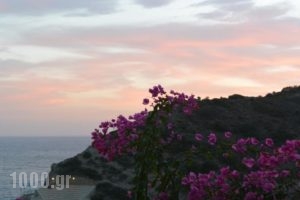 Hotel Hariklia_travel_packages_in_Crete_Rethymnon_Aghia Galini