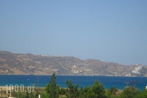 Saloustros Apartments_holidays_in_Apartment_Crete_Heraklion_Ammoudara