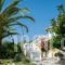Mentikas Studios_travel_packages_in_Ionian Islands_Zakinthos_Laganas