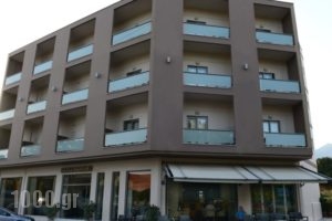 Ionion Hotel_best deals_Hotel_Thessaly_Magnesia_Pilio Area