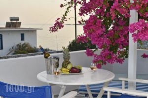 Apartments Tarsa_travel_packages_in_Cyclades Islands_Antiparos_Antiparos Chora