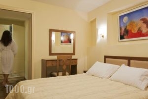Ellinon Thea Arachova_best prices_in_Hotel_Central Greece_Fokida_Delfi