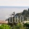 Byronas Apartments_holidays_in_Apartment_Ionian Islands_Corfu_Palaeokastritsa