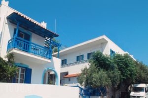 Barbouni Hotel & Studios_holidays_in_Hotel_Cyclades Islands_Naxos_Naxos chora