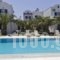 Louis Studios Santorini_best deals_Hotel_Cyclades Islands_Sandorini_kamari