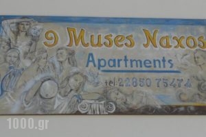 9 Muses Naxos_lowest prices_in_Hotel_Cyclades Islands_Naxos_Naxos chora
