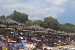 Argolic Strand Camping_lowest prices_in_Hotel_Peloponesse_Arcadia_Astros