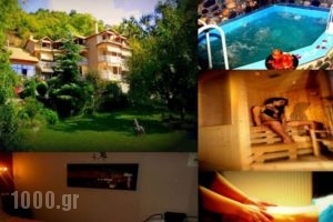 Alkyonis Hotel & Spa_accommodation_in_Hotel_Macedonia_Pella_Aridea