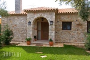 Kymaros Villas_lowest prices_in_Villa_Ionian Islands_Zakinthos_Laganas