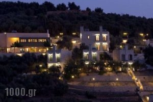 Dalabelos Estate_travel_packages_in_Crete_Rethymnon_Mylopotamos