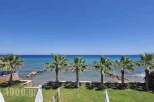 Palatia Caeli_holidays_in_Hotel_Ionian Islands_Zakinthos_Laganas
