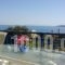 Villa Zefiros_best deals_Villa_Cyclades Islands_Andros_Andros City