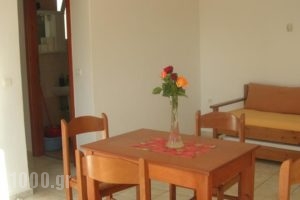 Giorgos Apartments_lowest prices_in_Apartment_Crete_Chania_Palaeochora