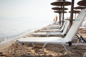 Hotel Almira_best deals_Hotel_Macedonia_Thessaloniki_Thessaloniki City