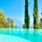 Mounty Island - Ermis Villa_accommodation_in_Villa_Ionian Islands_Lefkada_Karia